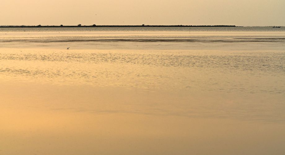 Dusk at Pulicat Lake in Chennai 