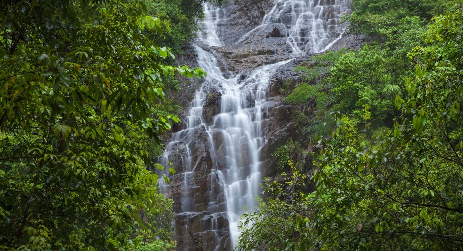 Ein über Granitfelsen fliessender Wasserfall mit Grünpflanzen im Qishan Mountain Forest Park von Fuzhou