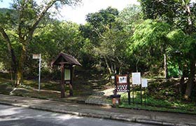 Sheung Yiu Family Walk Sai Kung See