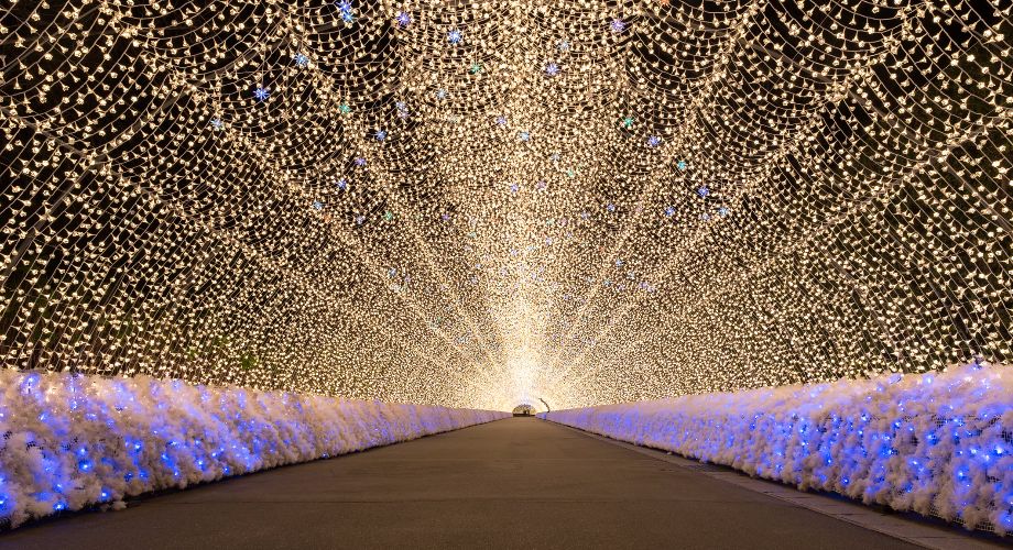 在名古屋附近，名花之里主題公園的光影隧道