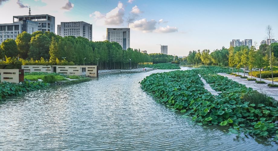 River in Ningbo with towers on one bank and water plants on the other