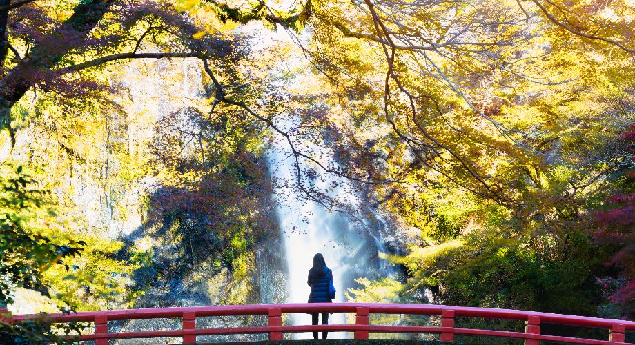Lady on red bridge surrounded by autumn leaves in Minoh Park, Osaka