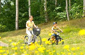 Pedal Power See