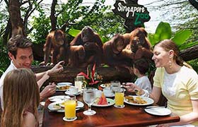 Singapore Zoo See