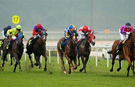 Turf Club See