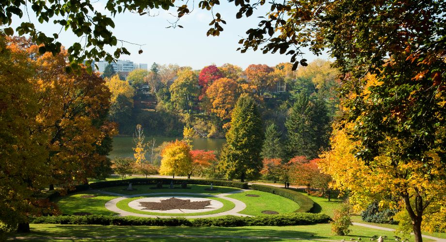 Maple leaf garden design at High Park, Toronto, in autumn 