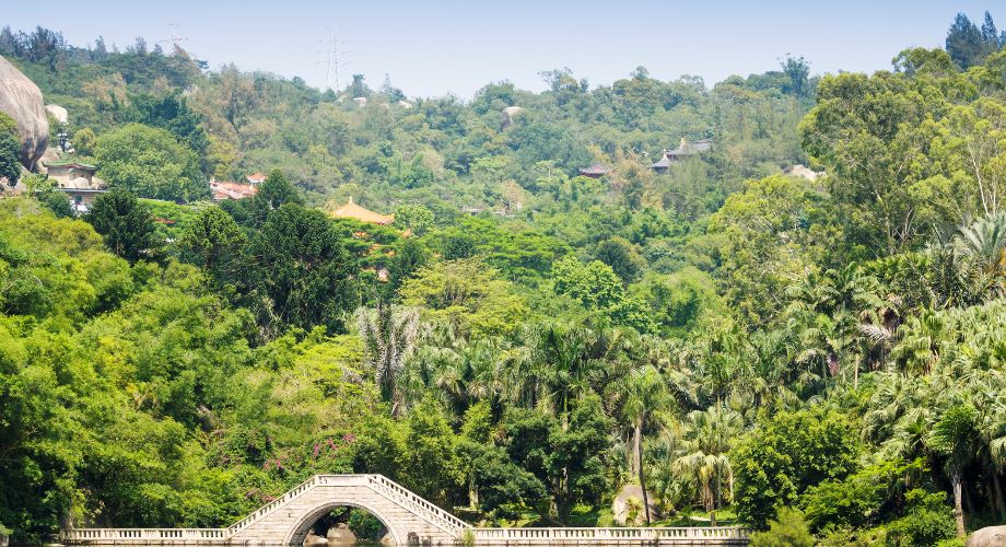 สะพานและป่าอันร่มรื่นในสวนพฤกษศาสตร์ว่านซือ (Wanshi Botanical Gardens) ในเมืองเซี่ยเหมิน