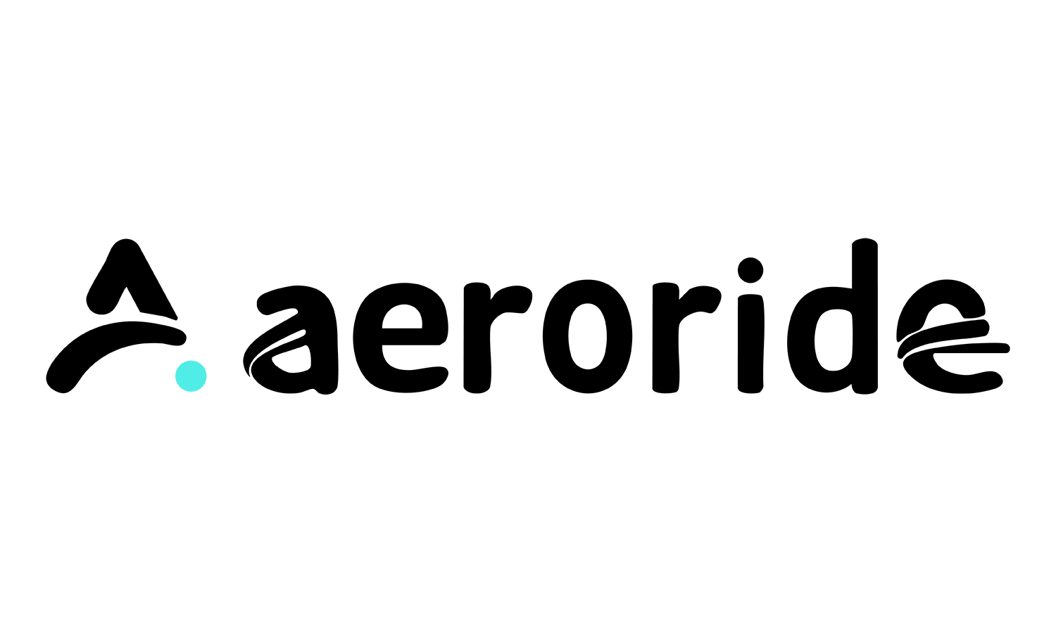 vip charter vehicle service logo