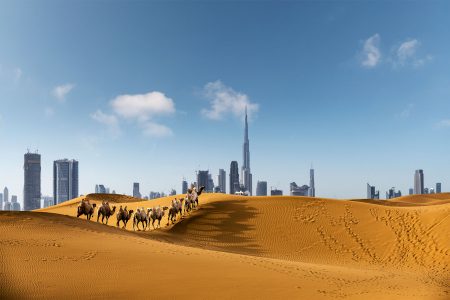 Dubai Sunset Buildings