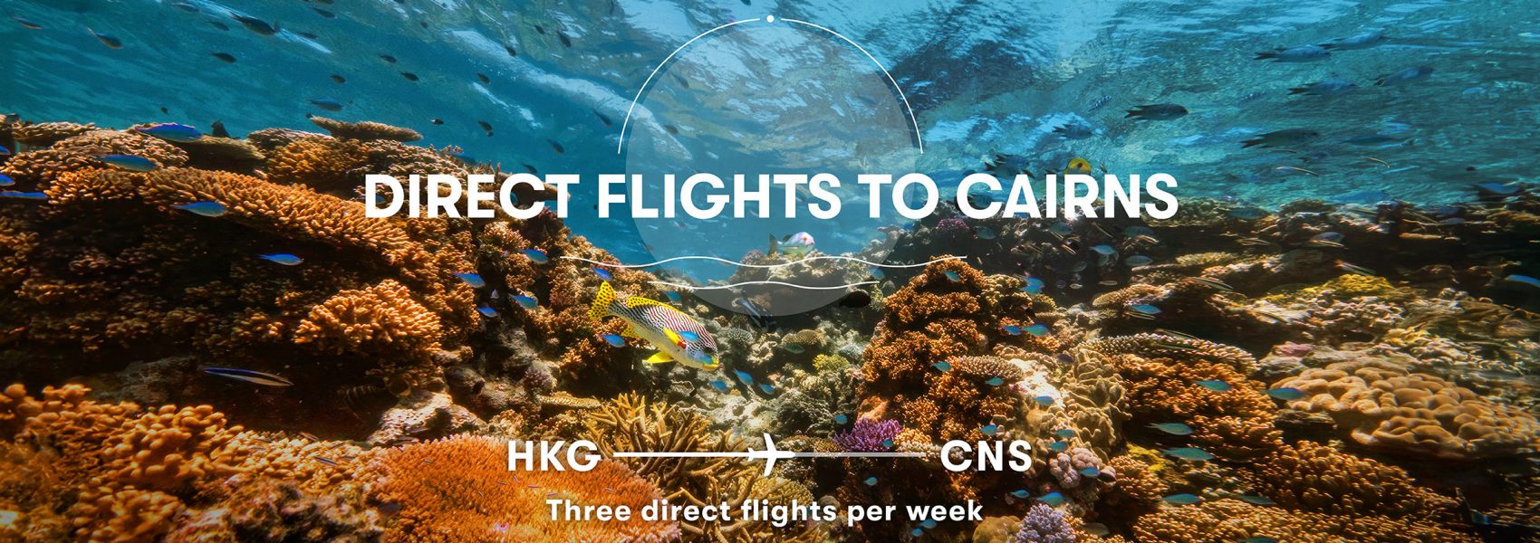 Direct flights to Cairns