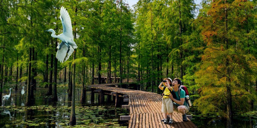 Uncover Nanjing’s wild treasures 