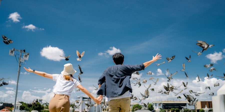 travel in Australia and New Zealand