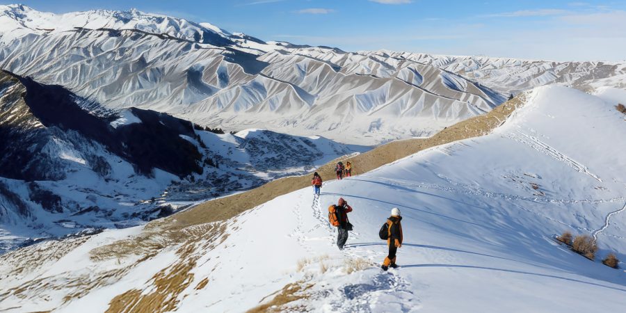 Weekly Discovery Hero