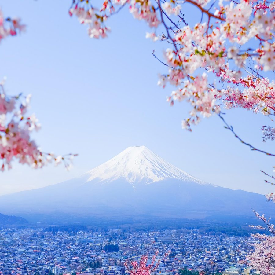 Japón