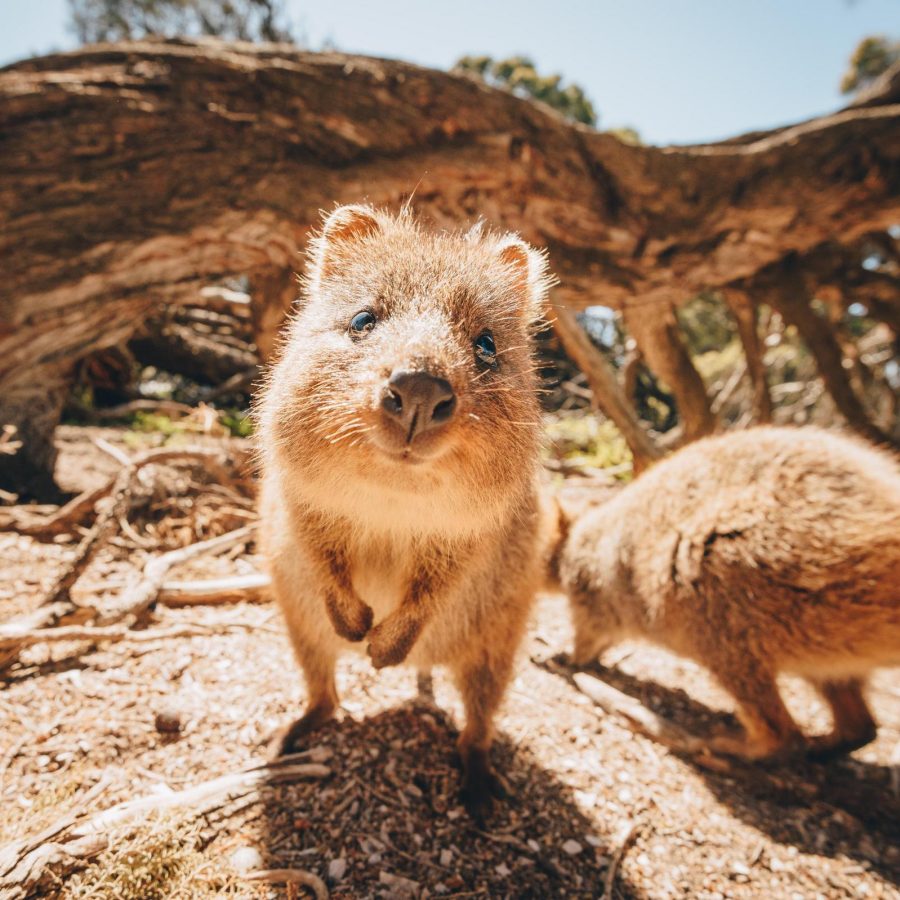 Australia
