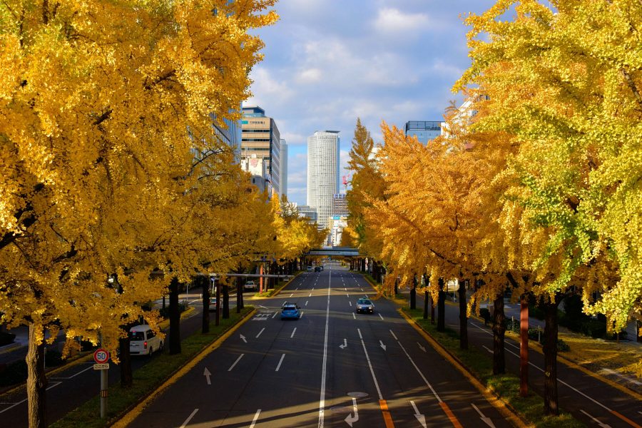 Nagoya  street