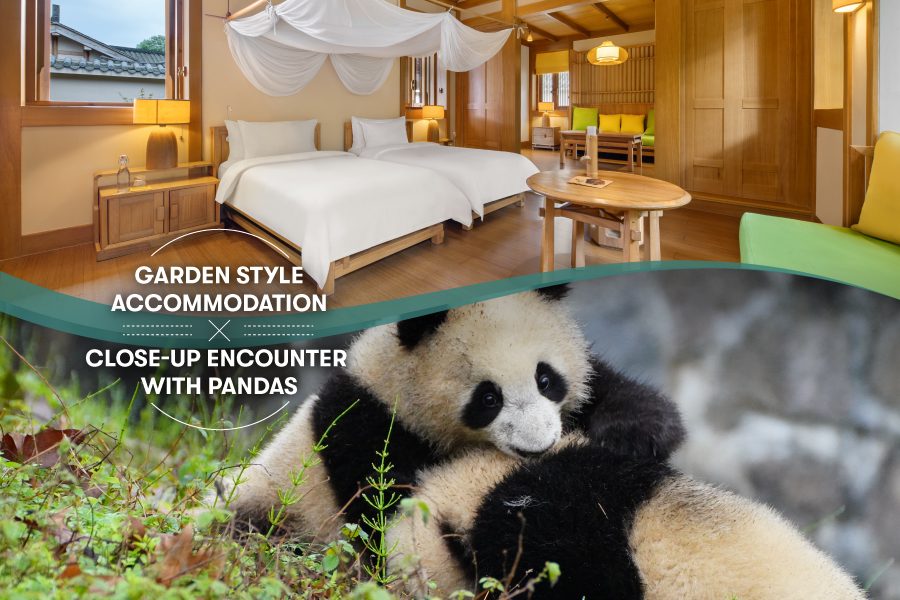 Chengdu: Six Senses tour to meet giant pandas 
