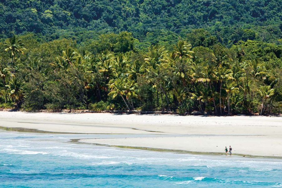 Myall Beach. Cape Tribulation, Daintree National Park, Daintree, Queensland, Australia