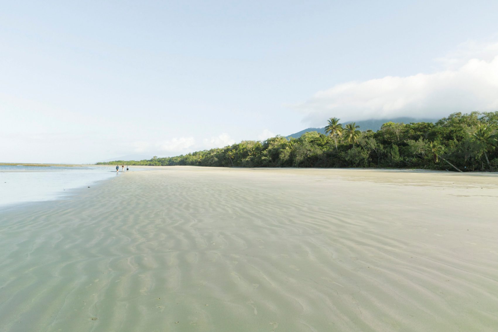 Cape Tribulation, Queensland