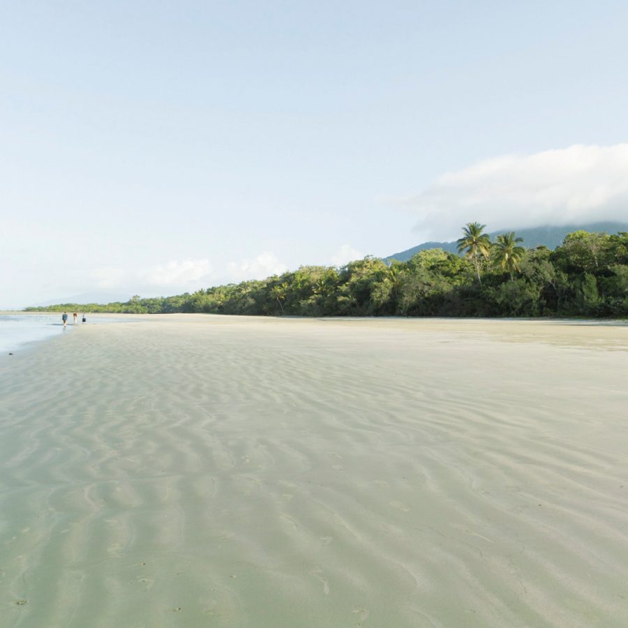 Cape Tribulation, Queensland