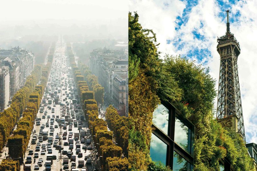 The wilder side of Paris