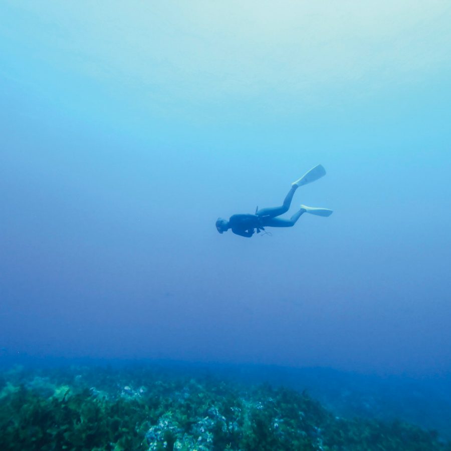 Freediver under the sea, Japan