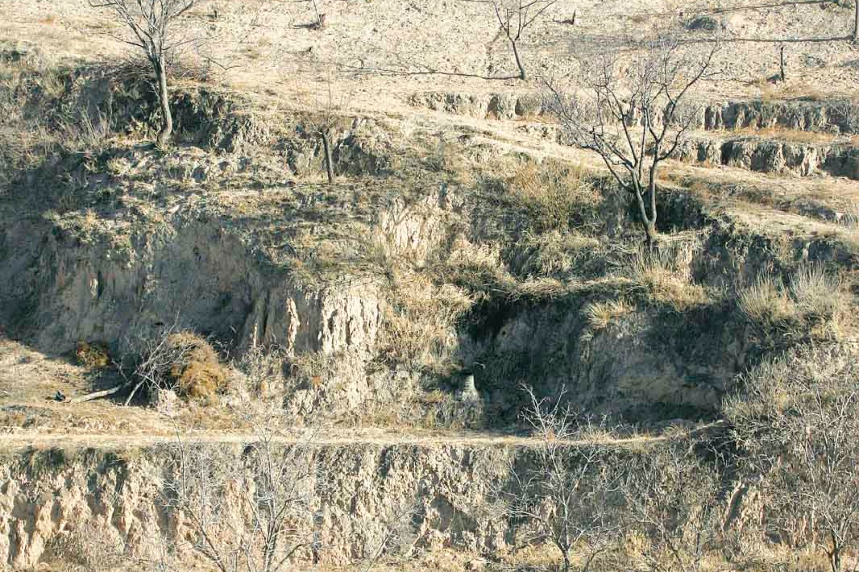 Cave 