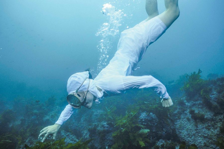 Japanese diver Amy. Credit: Yoneo Morita/Sebun Photo/amanimages/Argusphoto