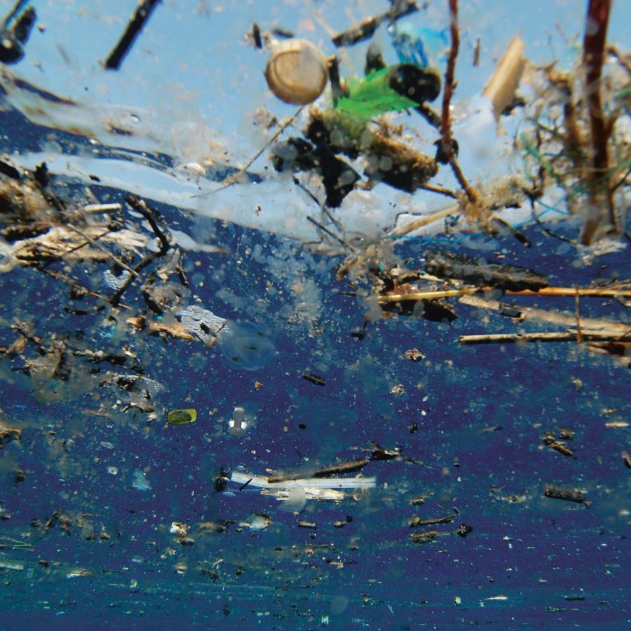 A still from the film A Plastic Ocean