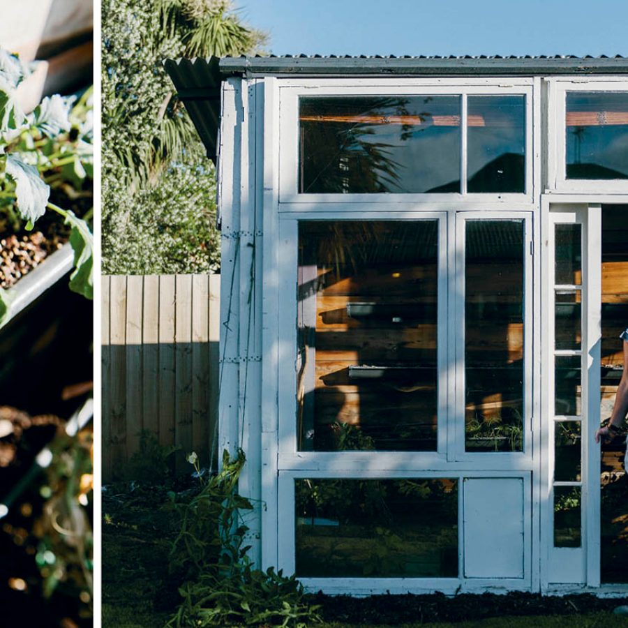 Christchurch restoration projects