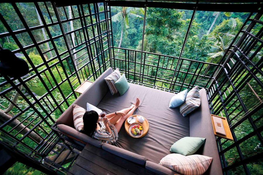 Dragons dens-jungle. Courtesy of Hoshino Resorts