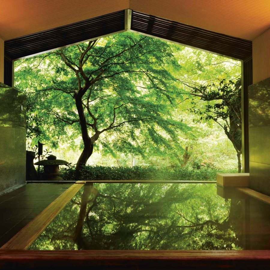 Japanese spa 