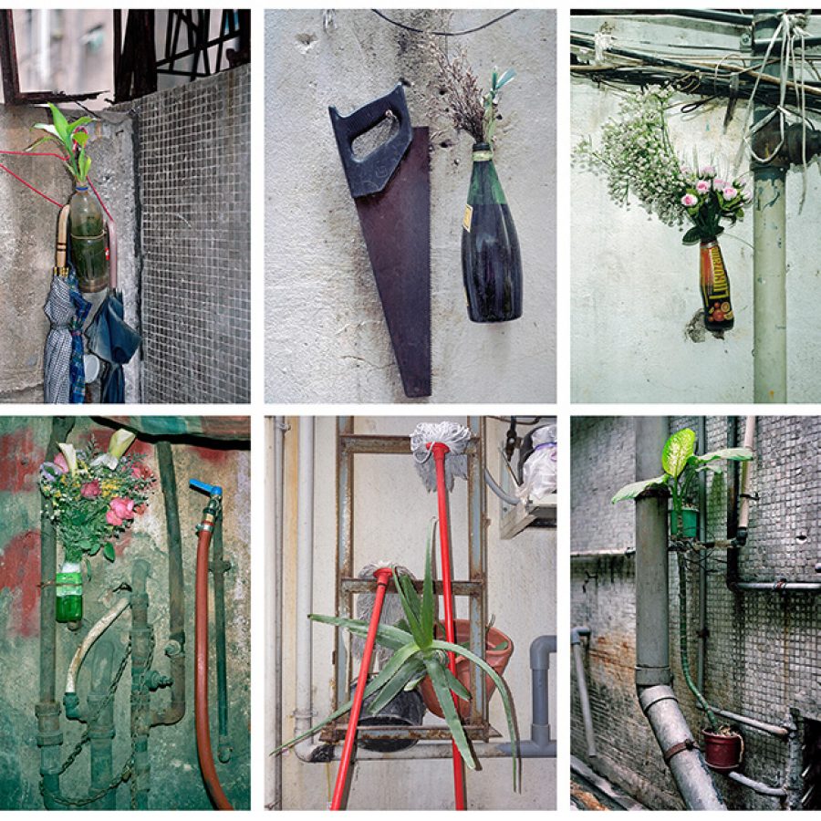 A collection of images from the series, Informal Solutions, by Michael Wolf