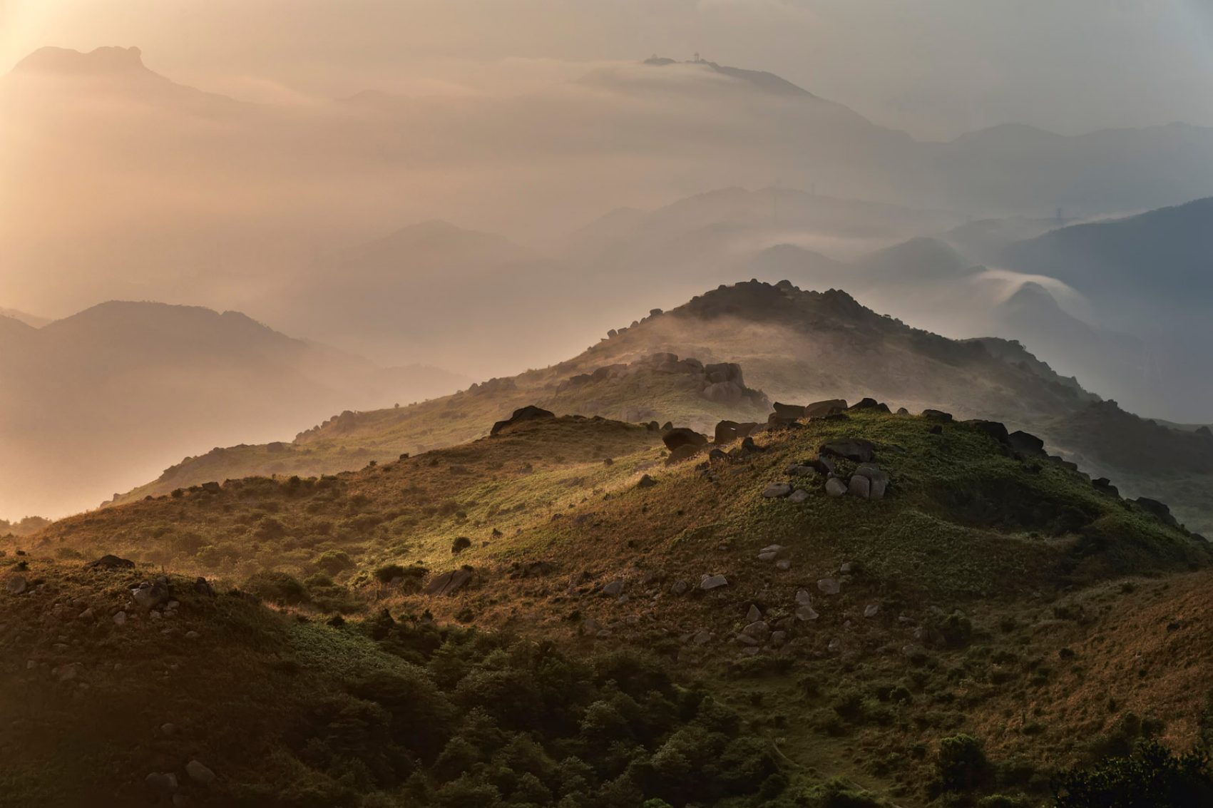 Tai Mo Shan, Tai Mo Shan Country Park
