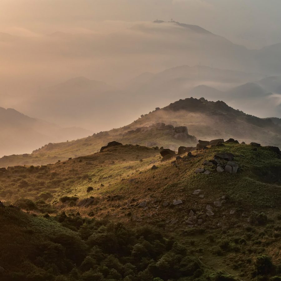 Tai Mo Shan, Tai Mo Shan Country Park