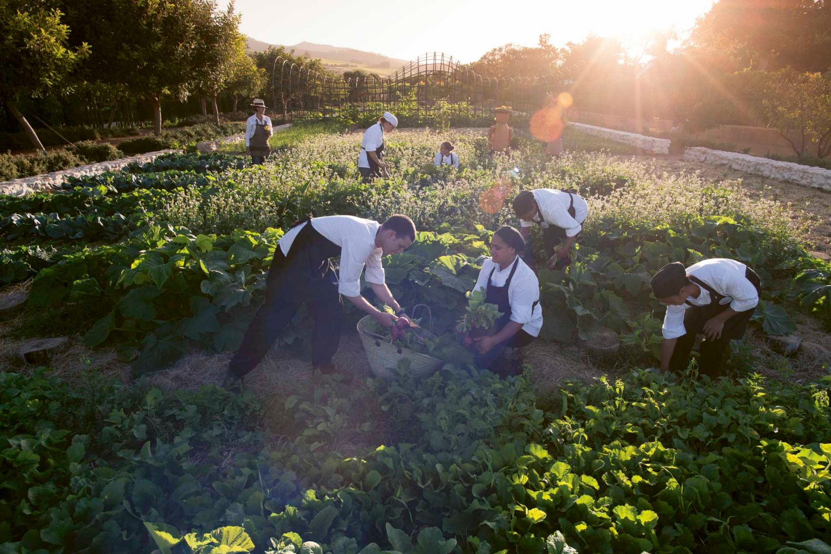 Babylonstoren, South Africa