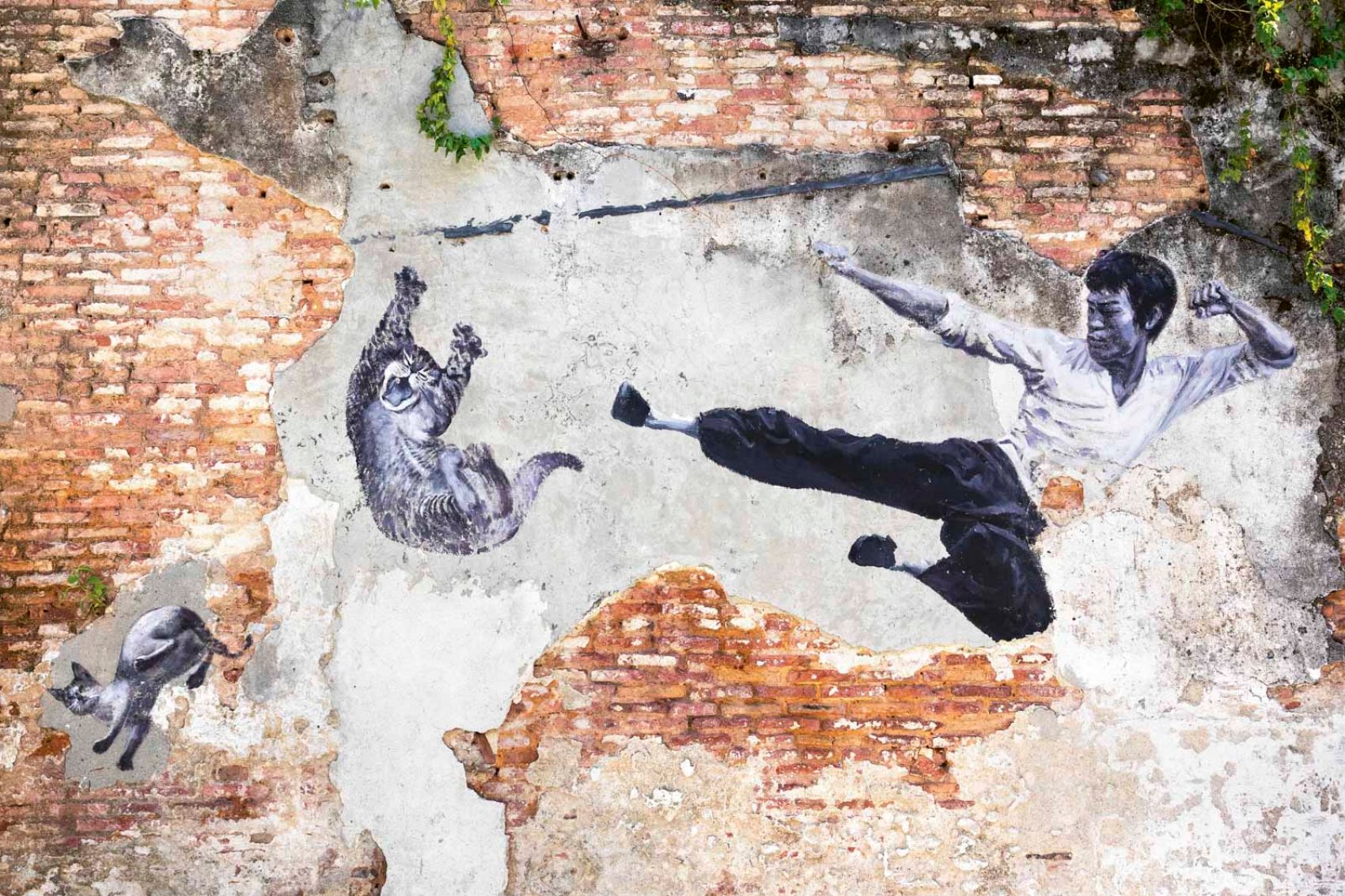 Penang Bruce Lee and cats wall artwork.