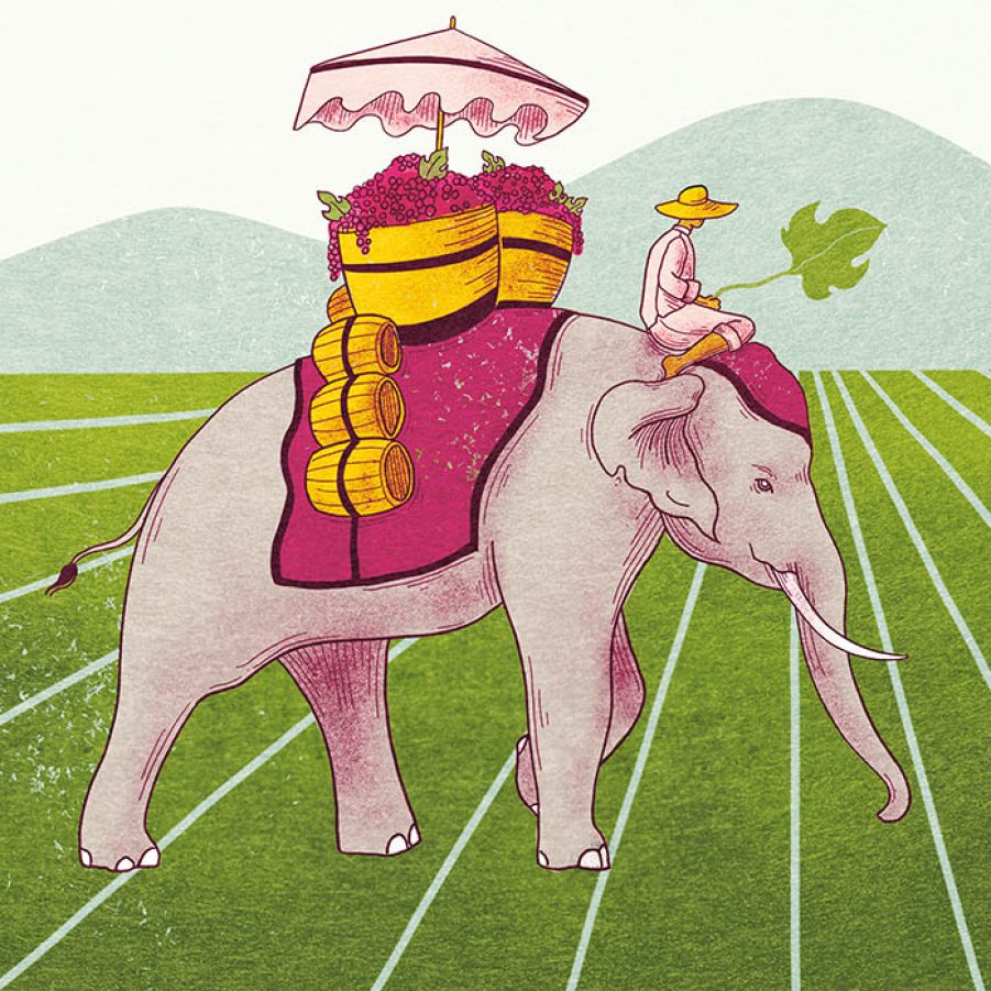 An illustration of an elephant carrying a grape harvest for wine in Thailand. Illustration: Christina Chung