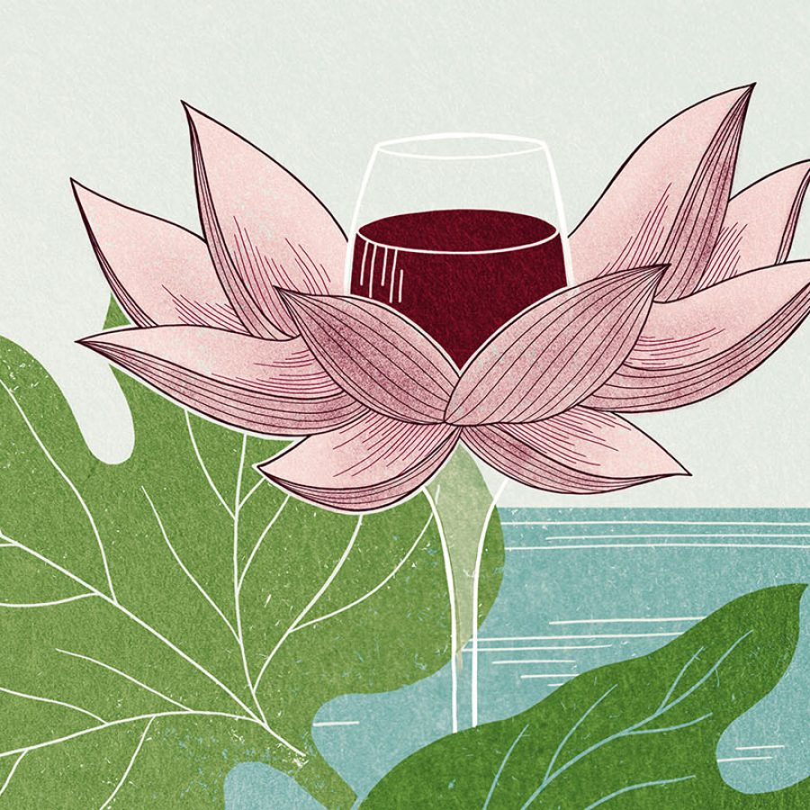 An illustration of wine emerging from a lotus flower. Illustration: Christina Chung