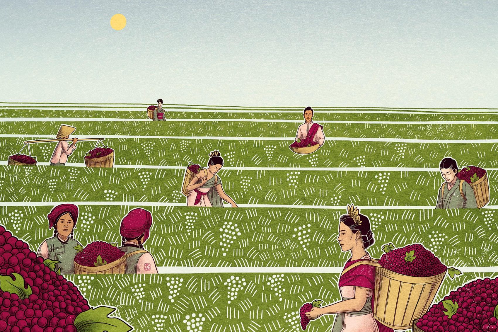 An illustration of Asia's growing wine regions. Credit: Christina Chung