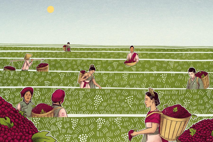 An illustration of asian wine