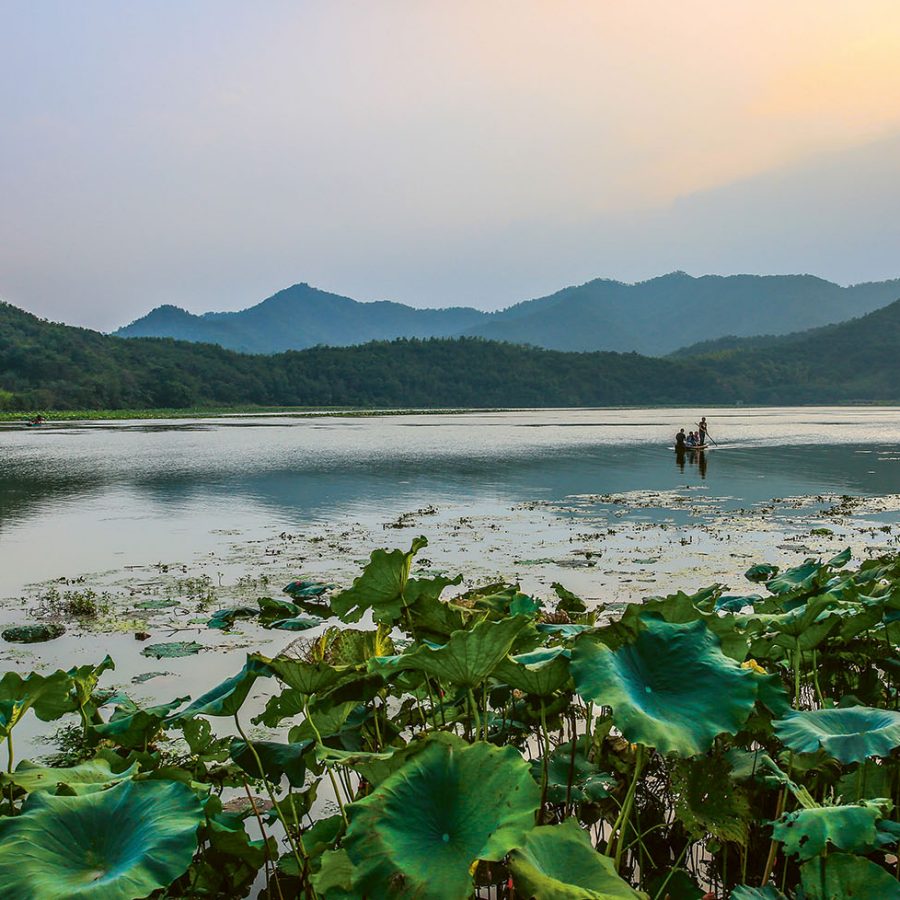What to do in ningbo cathay