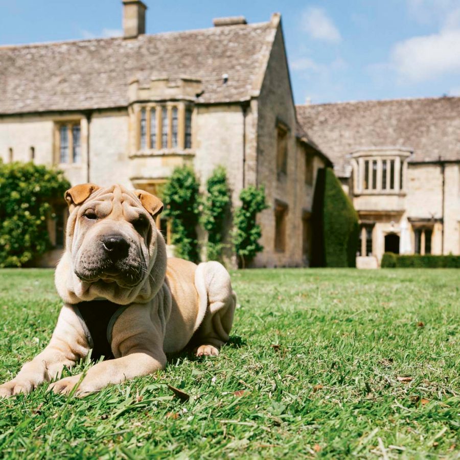 Ellenborough Park, England