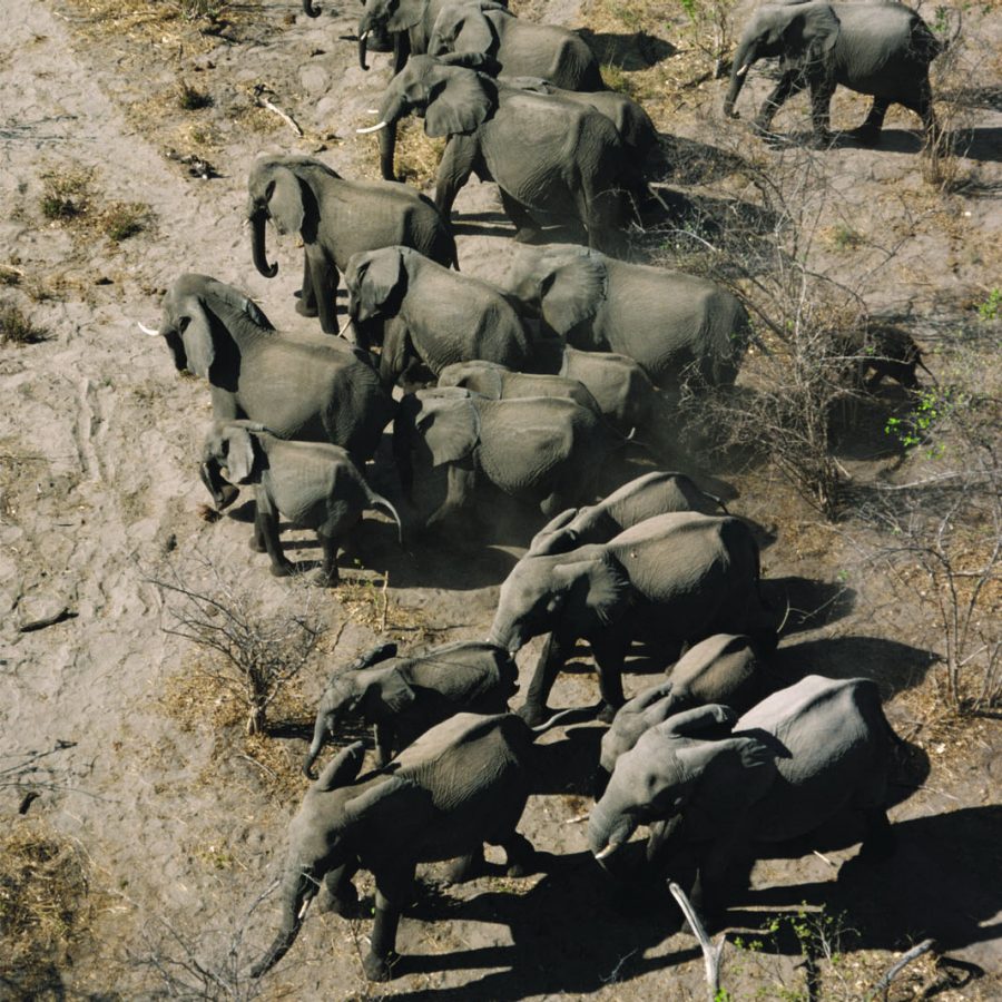 Kenya