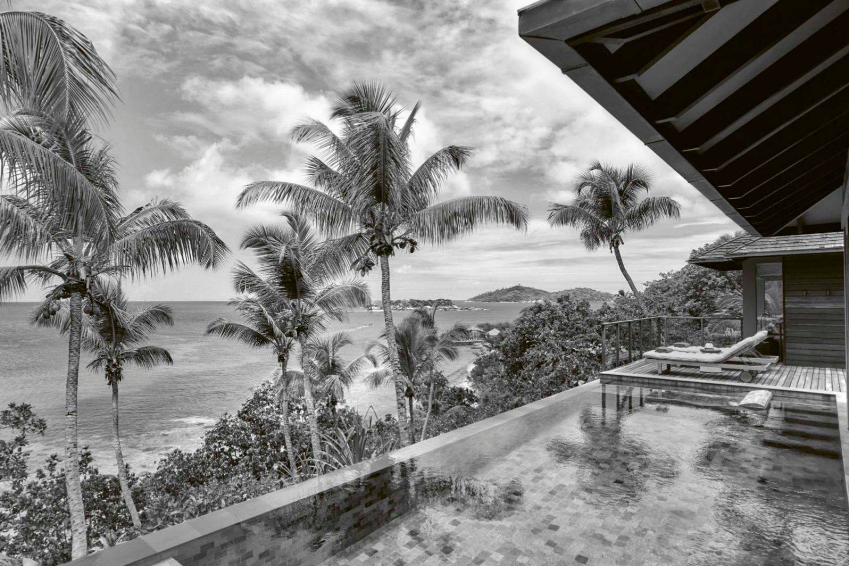 Black and white image of a pool villa, palm trees and the ocean