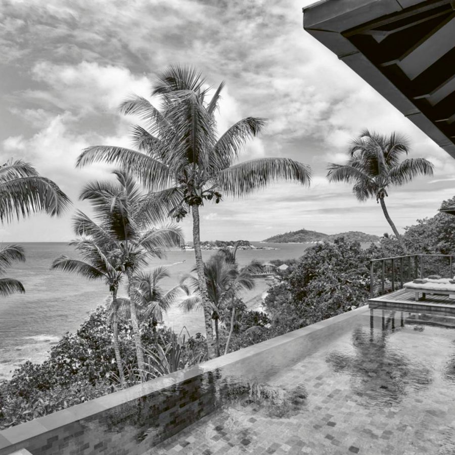 Black and white image of a pool villa, palm trees and the ocean
