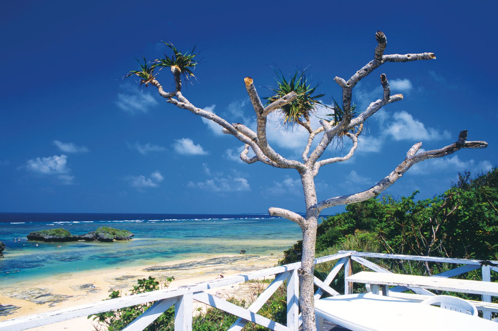 Hoshizuna Beach, Iriomote Island, Okinawa, Japan - Iriomote, Yaeyama Islands, Ryukyu Islands, Okinawa, Japan