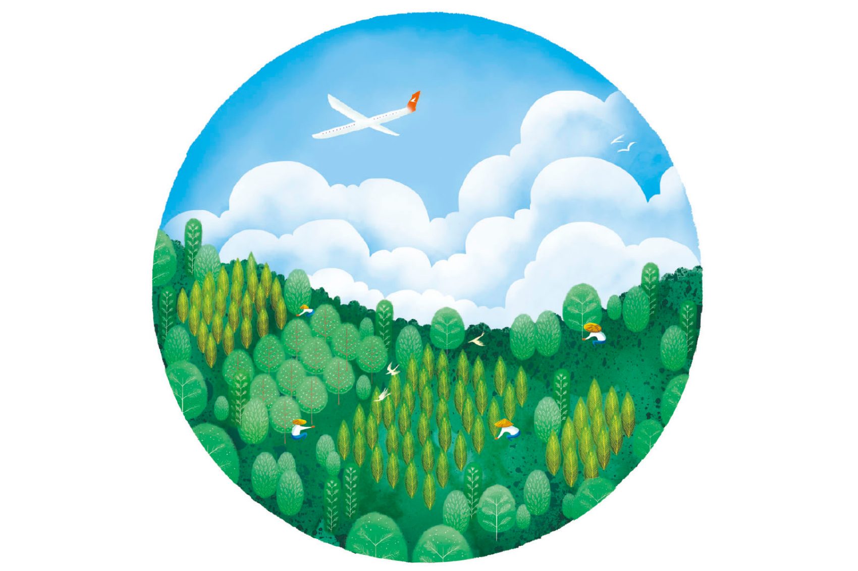 Buy carbon offsets