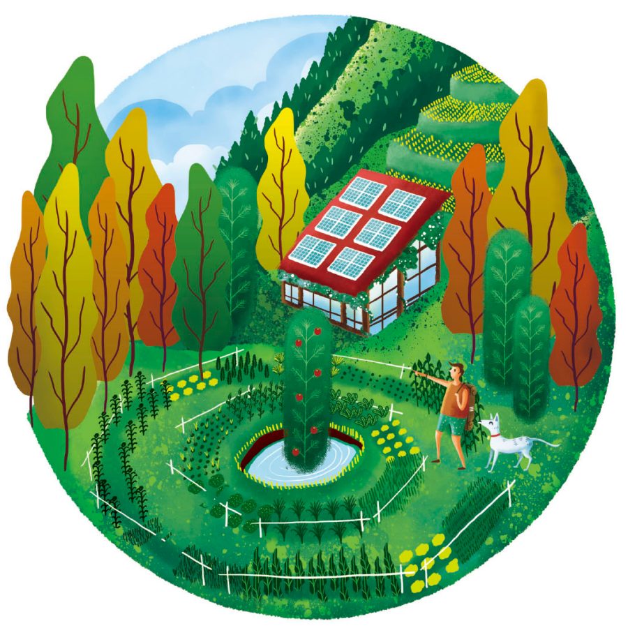Have a sustainable farm stay