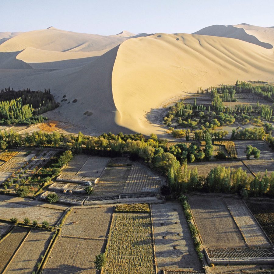 The Great Green Wall, Nanjing. Credit: Getty images